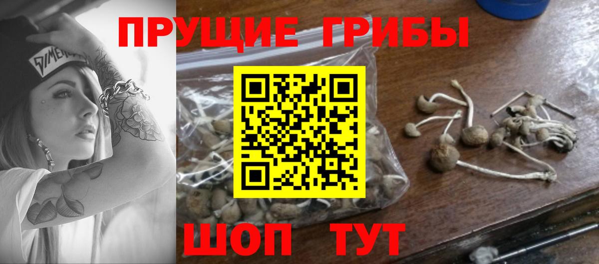 Вичуга  Галлюциногенные грибы Magic Shrooms  как найти   Вход с VPN 
