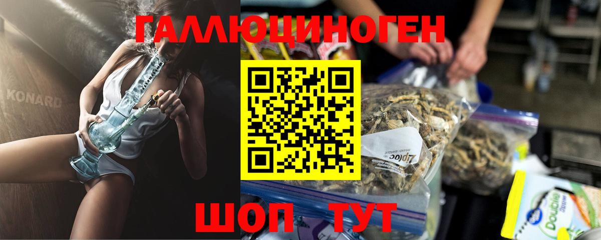 Галлюциногенные грибы GOLDEN TEACHER Вичуга
